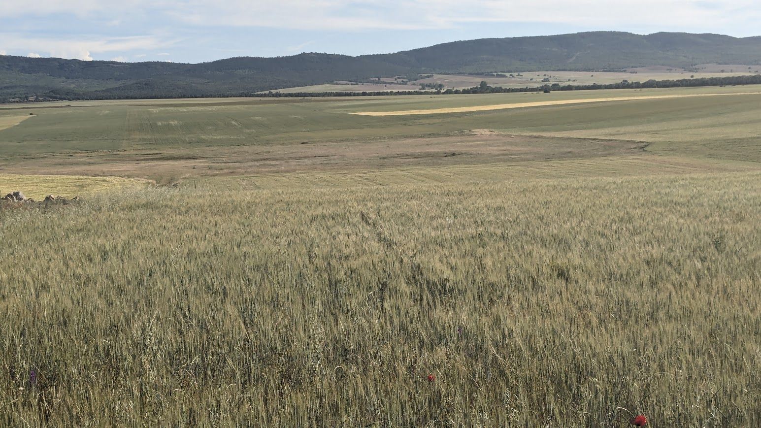 Laguna del Cuartizo