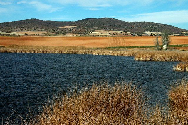 Laguna de Guialguerrero