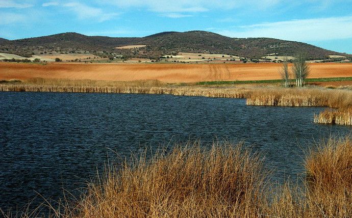 Laguna de Guialguerrero