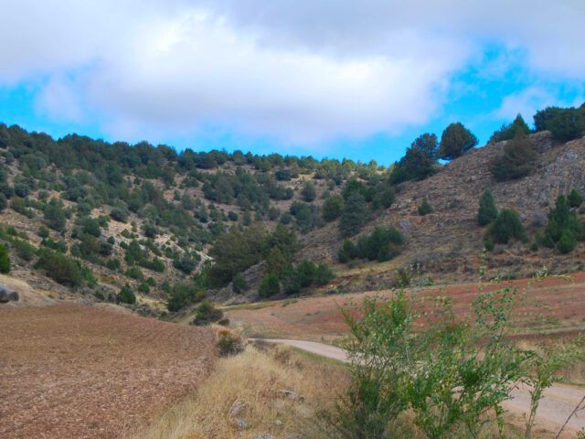 Montes de Picaza