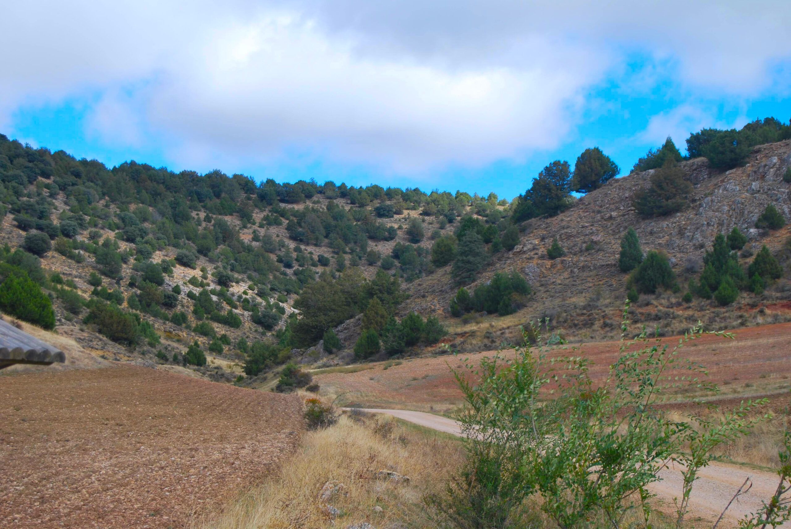 Montes de Picaza