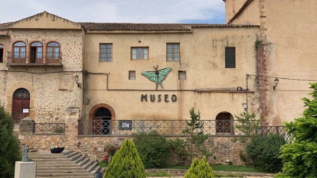 Museo de Molina