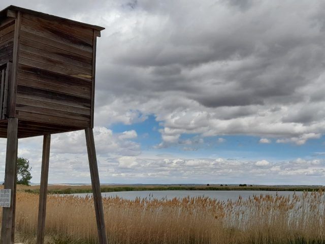 Observatorio de la Laguna Honda