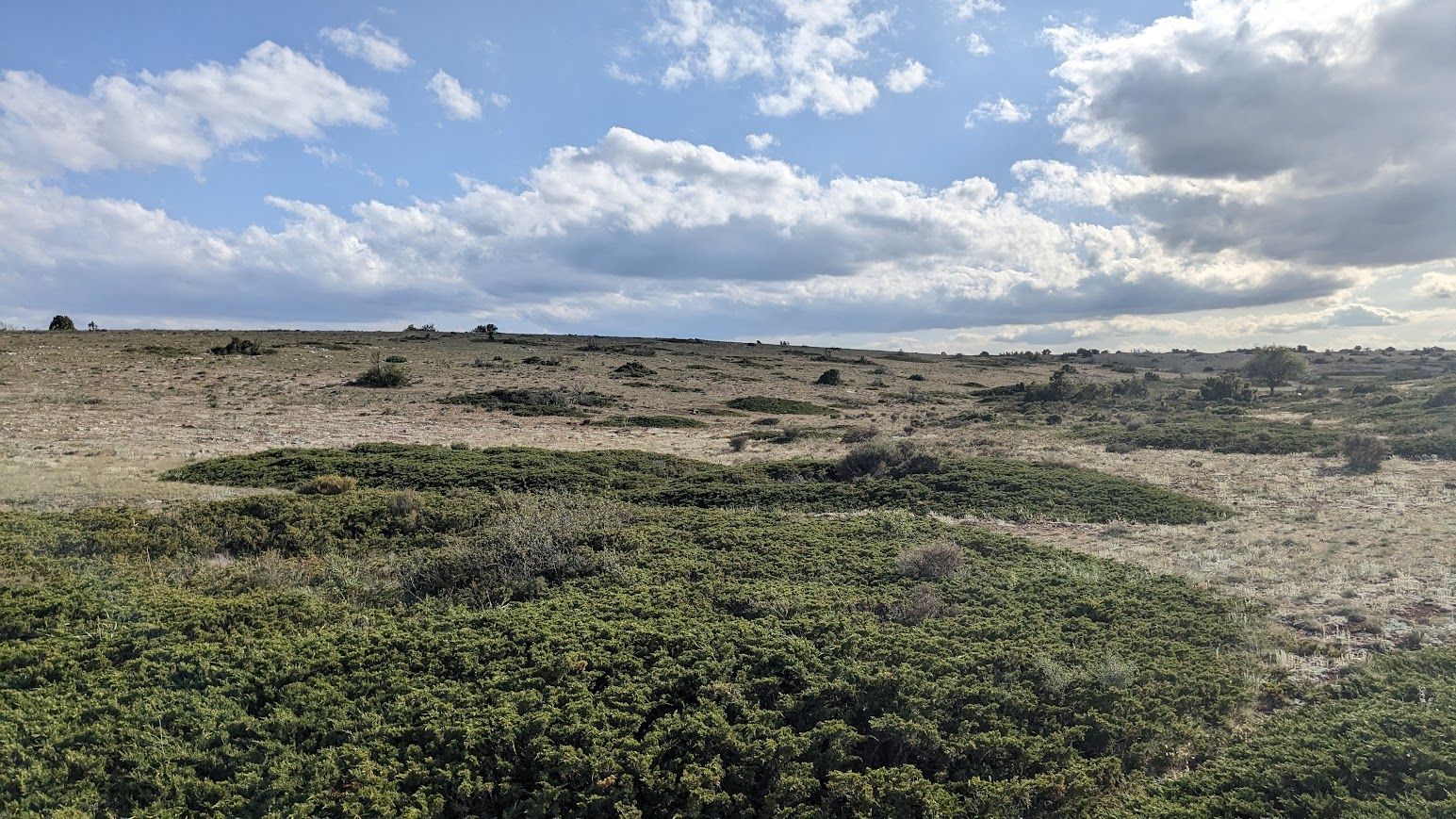 Paramera de Blancas