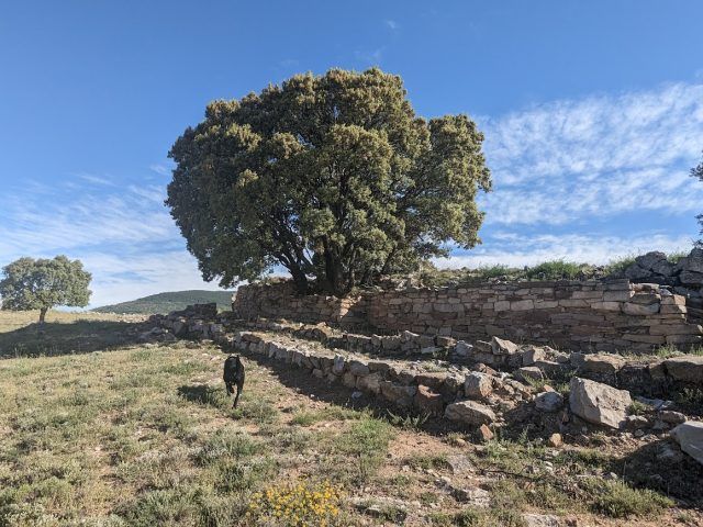 Castro de los Rodiles