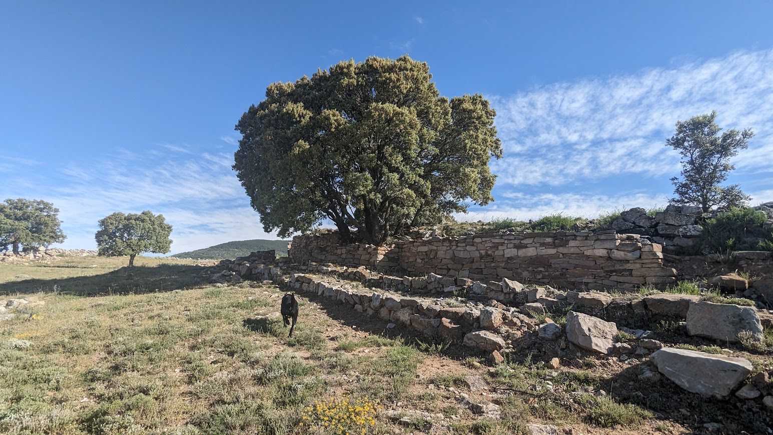 Castro de los Rodiles