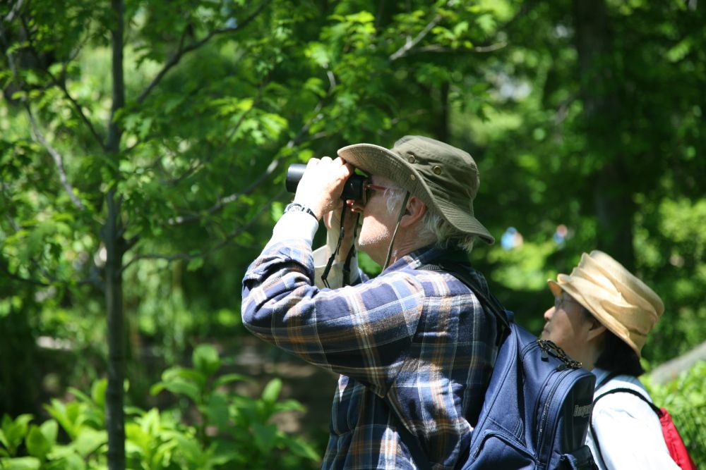 Consejos para iniciarse en la observación de aves