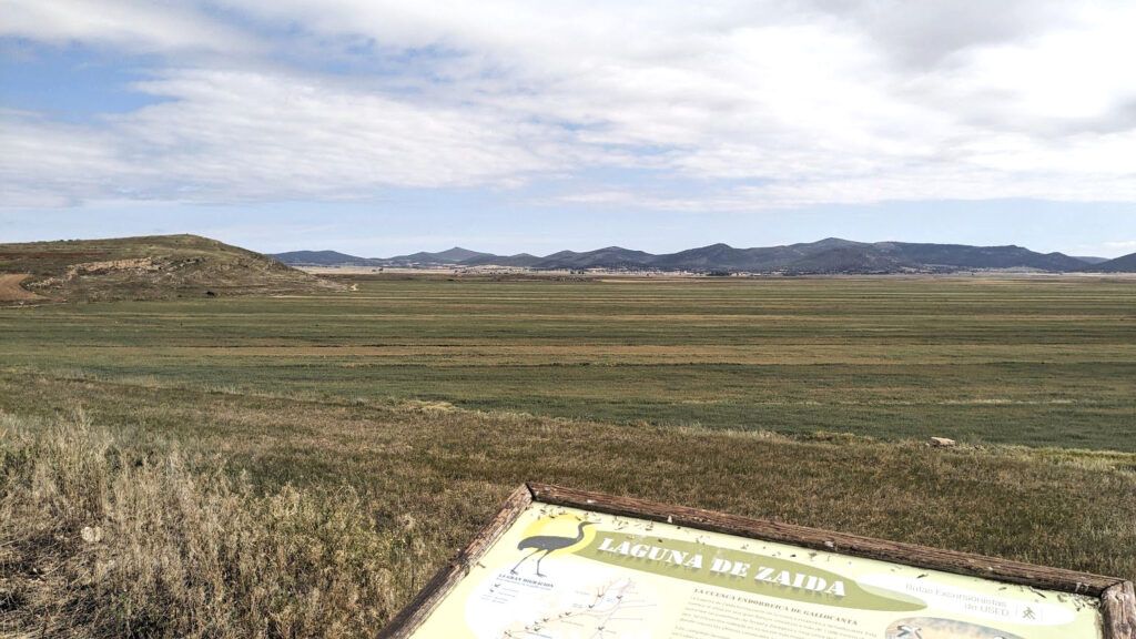 La Laguna de la Zaida: un ciclo de vida entre el agua y la tierra