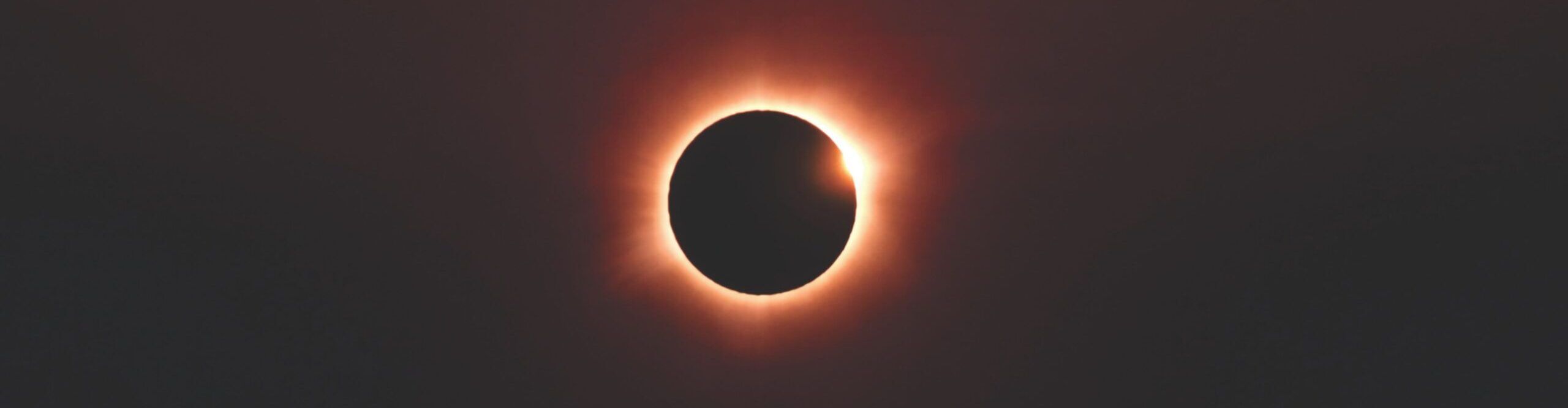 Foto: Gleive vía Pexels